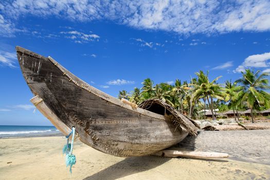 Fisherman boat on the sunny beach with green palm near ocean