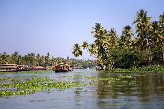 House boats in the backwaters Kerala over blue sky
