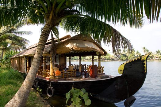 House boat in India over tropical palm on the river