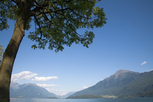 Summer scenery on "Lake Como" (northern Italy) framed by tree. Plenty of copyspace on sky.