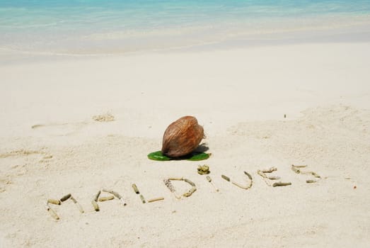 Maldives note written on a white sandy beach and coconut fruit