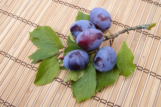 Plum branch on wooden napkins. Closeup image