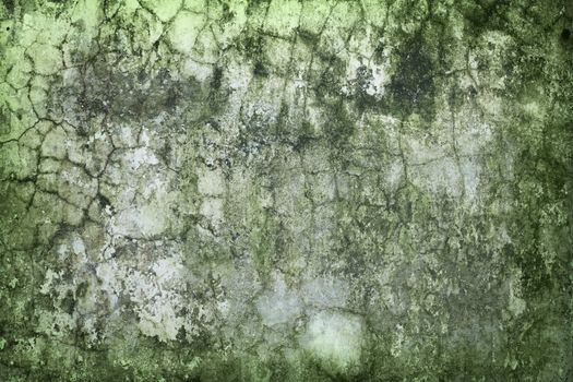 The old concrete wall green with time and moisture