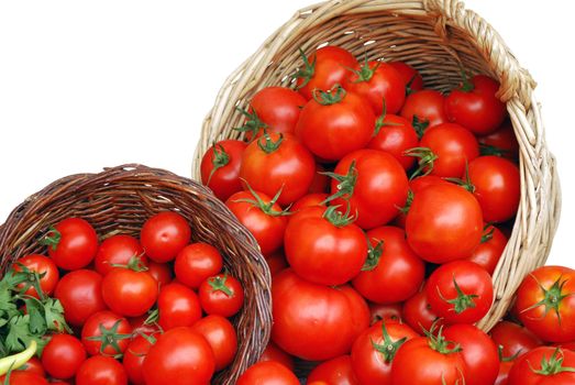 basket with tomatoes isolated
