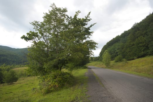 Mountain rural road with trees, meadow and overcast sky view.