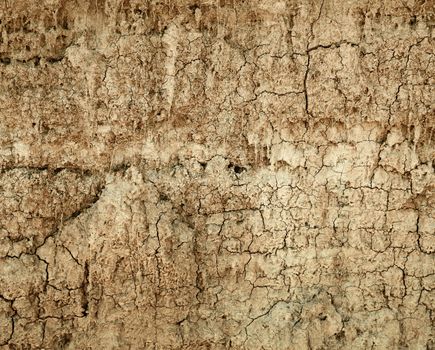 The clay soil with cracks - a wall of a large ravine