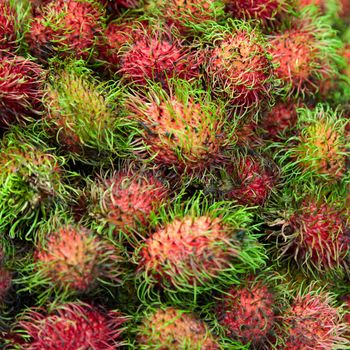 Square background of ripe fruits - rambutan