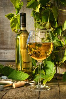 Glass of white wine and bottle on barrel with vines in background