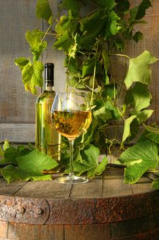 Still life of white wine and grapevine against rustic background