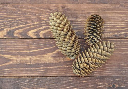 Dry pine cones on old wooden boards