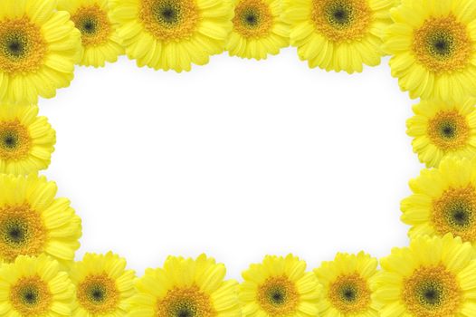 flowers frame (gerbers)