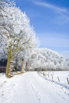 Wonderful snowy scene with a clear blue sky.