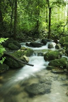 Lanscape of tropical moutain stream in a morning.