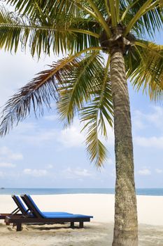 Concept photo of beach with chair