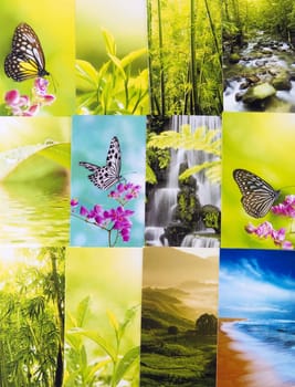 Collage nature postcard. All image belongs to me.