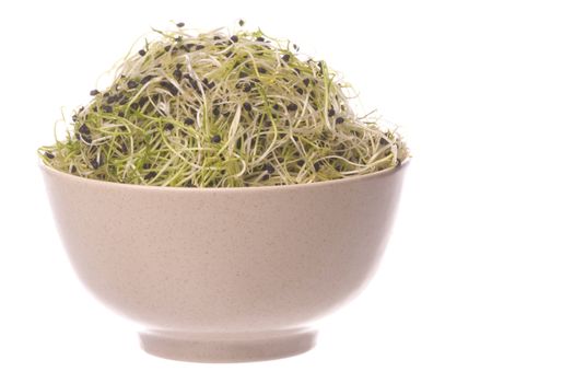 Isolated image of onion sprouts in a bowl.
