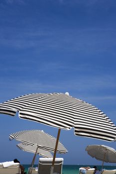 Big umbrellas are staked into the sand for beach goers in sunny Miami, Florida.