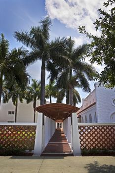 Palm trees shade a church courtyard in beautiful Miami, Florida.
