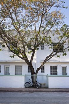 A bicycle and tree sit in front of an art-deco building in Miami, Florida.