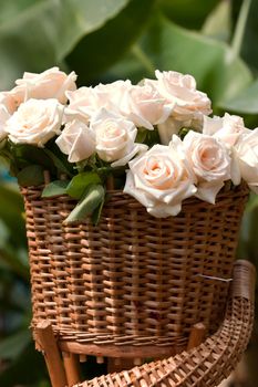 flower series: bunch white roses, romantic mood