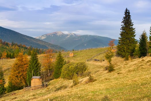 Colorful autumn landscape in the mountains