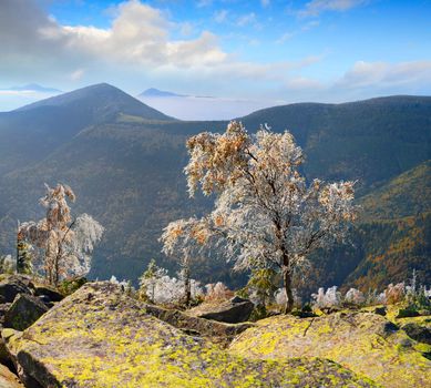 First frost in the mountains