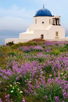 Picture of a small chapel on the beautiful island of Santorini, near a spring flower bed. 
