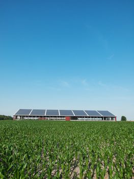 Farm in Germany with roof solar panel and corn field