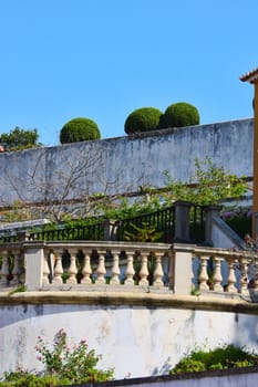 Beautiful wall in park