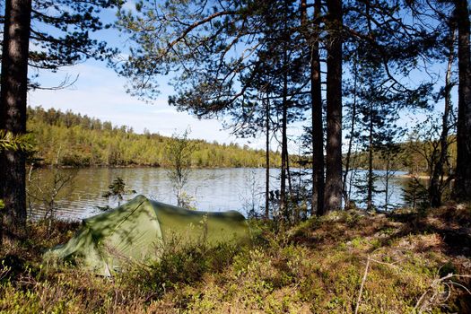 A tent set up near a lake in a forest