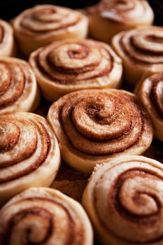 A detail of raw cinnamon buns - very shallow depth of field.