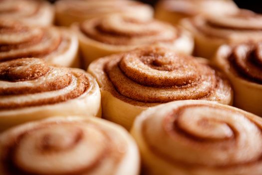 A detail of raw cinnamon buns - very shallow depth of field.