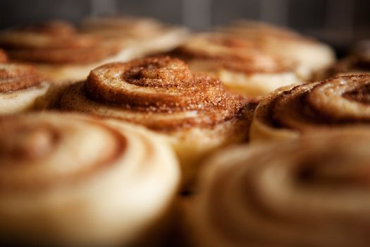A detail of raw cinnamon buns - very shallow depth of field.