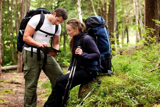 A couple of backpackers looking at a map in the forest