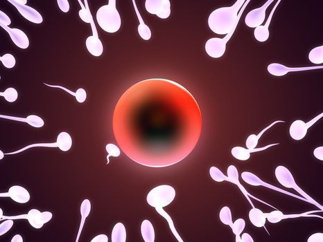 3d rendered close up of a human egg cell and one sperms