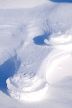 A polar bear track in the snow