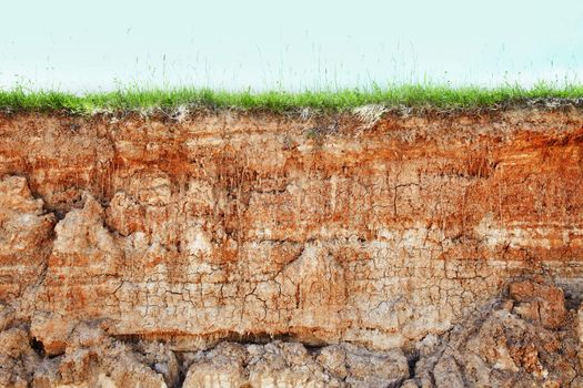 Wall cliff - clay brown soil and grass