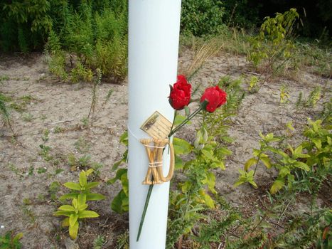 Roadside memorial to a loveone lost to a traffic death