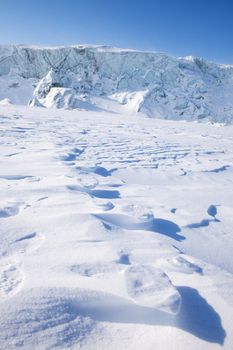 Footprints from a polar bear in the snow at Svalbard, Norway