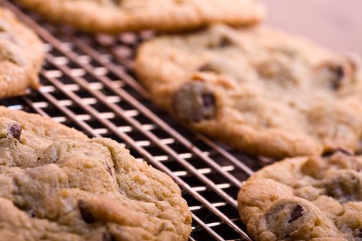 chocolate chip cookies on a cooling rack fresh out of the oven