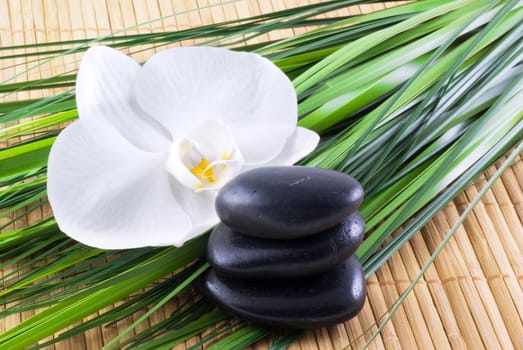 Black zen stones with white orchid and blades of grass on an bamboo background.