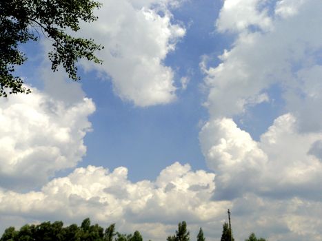 Landscape with cloud sky and verdure