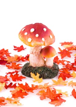 Toadstool surrounded by autumn leaves, isolated on white.