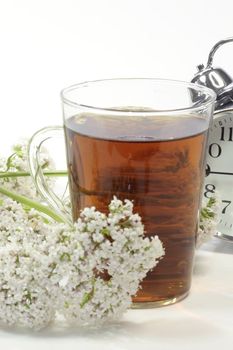 Herbal tea in a glass with valerian blossoms and alarm clock over white background