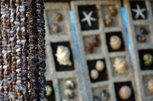 home interior decoration made from sea shell