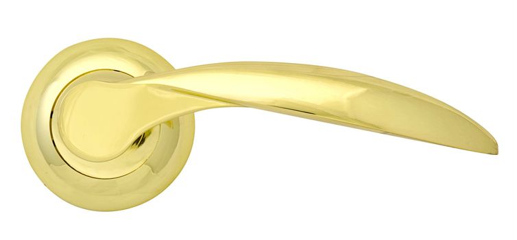 Golden Door handle Gloss