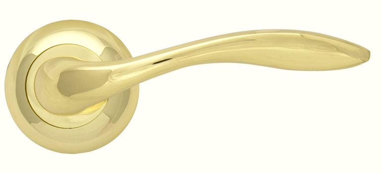Brass Door handle Gloss