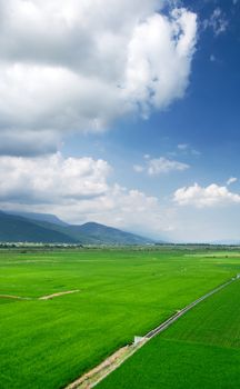 It is a beautiful landscape of green farm with blue sky and white clouds.