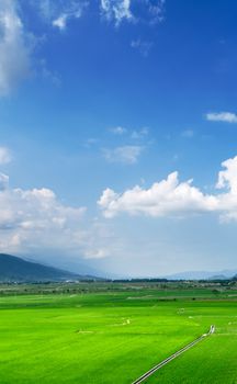It is a beautiful landscape of green farm with blue sky and white clouds.
