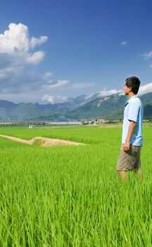 It is a beautiful landscape of green farm with blue sky and white clouds.